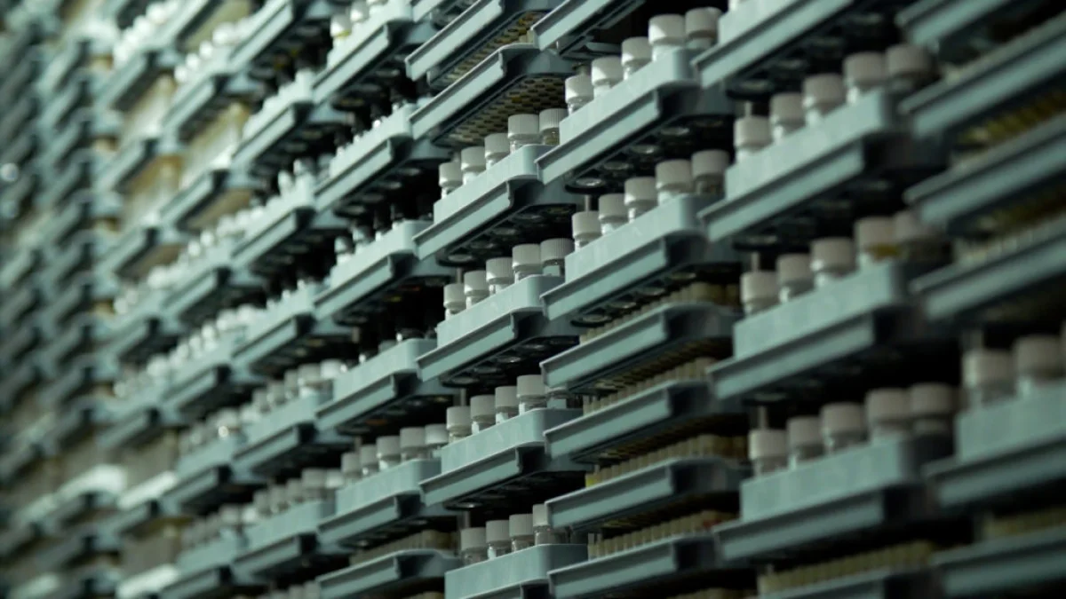 How AI is helping researchers develop antibiotics to fight drug-resistant infections